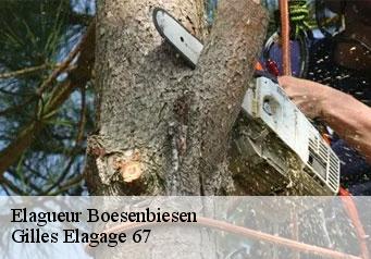 Elagueur  boesenbiesen-67390 Gilles Elagage 67