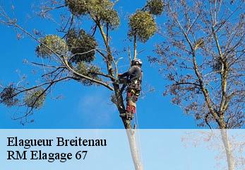 Elagueur breitenau-67220 RM Elagage 67