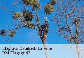 Elagueur dambach-la-ville-67650 RM Elagage 67