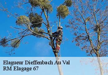 Elagueur dieffenbach-au-val-67220 RM Elagage 67