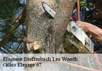 Elagueur  dieffenbach-les-woerth-67360 Gilles Elagage 67