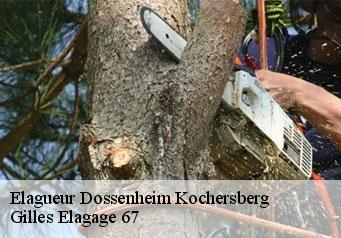 Elagueur dossenheim-kochersberg-67117 Gilles Elagage 67