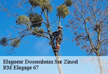 Elagueur dossenheim-sur-zinsel-67330 Artisan Wels