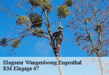 Elagueur  wangenbourg-engenthal-67710 RM Elagage 67