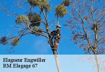Elagueur engwiller-67350 RM Elagage 67