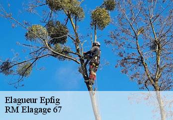 Elagueur epfig-67680 RM Elagage 67