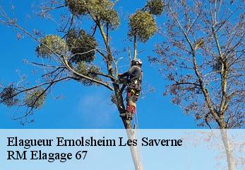 Elagueur ernolsheim-les-saverne-67330 RM Elagage 67