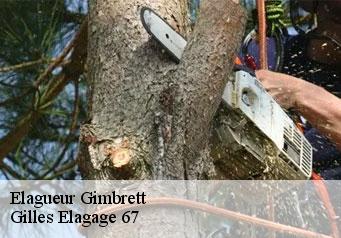 Elagueur gimbrett-67370 Gilles Elagage 67