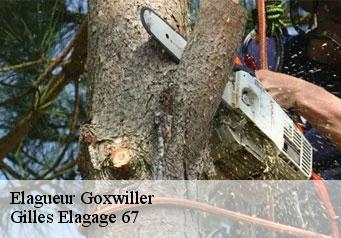 Elagueur goxwiller-67210 Gilles Elagage 67