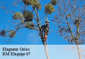 Elagueur gries-67240 RM Elagage 67
