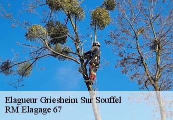 Elagueur griesheim-sur-souffel-67370 RM Elagage 67