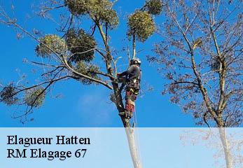 Elagueur hatten-67690 RM Elagage 67