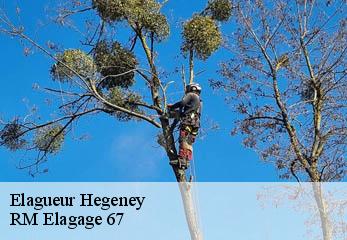 Elagueur hegeney-67360 RM Elagage 67