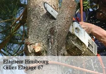 Elagueur  hinsbourg-67290 Gilles Elagage 67