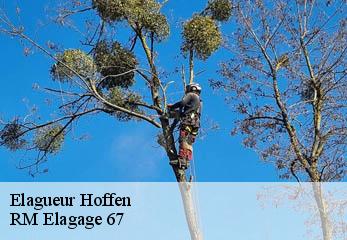 Elagueur hoffen-67250 RM Elagage 67
