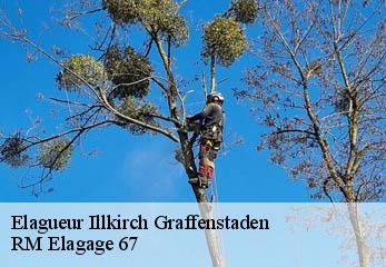 Elagueur illkirch-graffenstaden-67400 RM Elagage 67