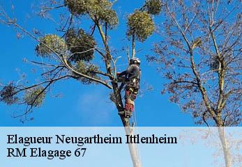 Elagueur neugartheim-ittlenheim-67370 RM Elagage 67