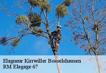 Elagueur kirrwiller-bosselshausen-67330 RM Elagage 67
