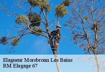 Elagueur morsbronn-les-bains-67360 RM Elagage 67