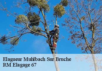 Elagueur muhlbach-sur-bruche-67130 RM Elagage 67