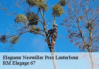 Elagueur neewiller-pres-lauterbour-67630 RM Elagage 67