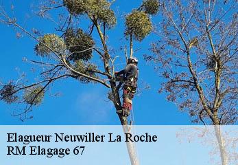 Elagueur neuwiller-la-roche-67130 RM Elagage 67