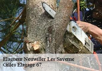 Elagueur neuwiller-les-saverne-67330 Gilles Elagage 67