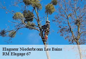 Elagueur niederbronn-les-bains-67110 RM Elagage 67