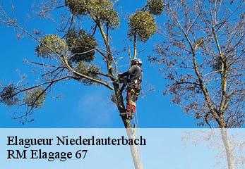 Elagueur niederlauterbach-67630 RM Elagage 67