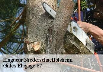 Elagueur niederschaeffolsheim-67500 Gilles Elagage 67