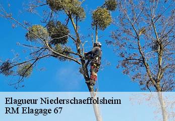 Elagueur niederschaeffolsheim-67500 RM Elagage 67