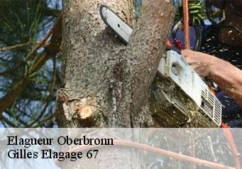Elagueur oberbronn-67110 Gilles Elagage 67