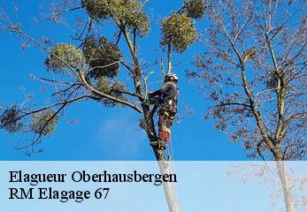 Elagueur oberhausbergen-67205 RM Elagage 67