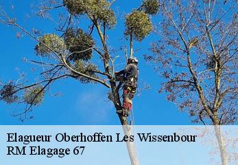 Elagueur oberhoffen-les-wissenbour-67160 RM Elagage 67