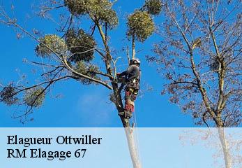Elagueur ottwiller-67320 RM Elagage 67