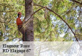 Elagueur  russ-67130 RD Elagage 67