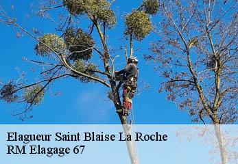 Elagueur saint-blaise-la-roche-67420 RM Elagage 67
