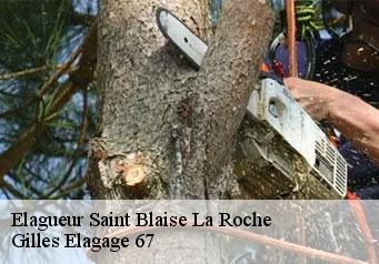 Elagueur saint-blaise-la-roche-67420 Gilles Elagage 67