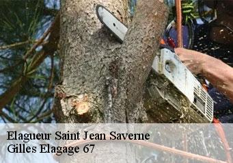 Elagueur  saint-jean-saverne-67700 Gilles Elagage 67