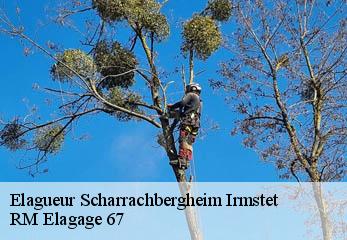 Elagueur scharrachbergheim-irmstet-67310 RM Elagage 67