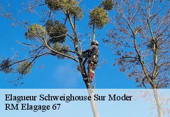 Elagueur schweighouse-sur-moder-67590 RM Elagage 67