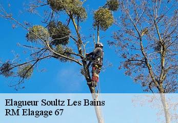 Elagueur soultz-les-bains-67120 RM Elagage 67