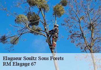 Elagueur soultz-sous-forets-67250 RM Elagage 67
