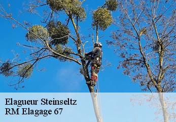 Elagueur steinseltz-67160 RM Elagage 67