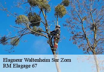 Elagueur waltenheim-sur-zorn-67670 RM Elagage 67