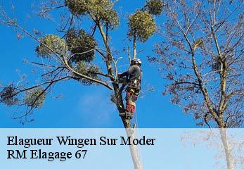 Elagueur wingen-sur-moder-67290 RM Elagage 67