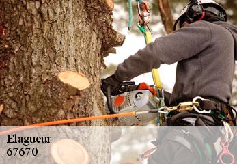 elagueur