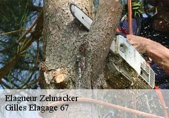 Elagueur zehnacker-67310 Gilles Elagage 67