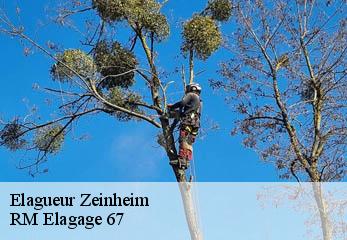Elagueur zeinheim-67310 RM Elagage 67
