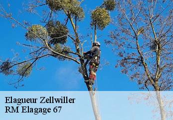 Elagueur zellwiller-67140 RM Elagage 67